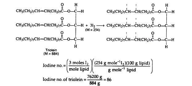 Classification Of Lipids Chart