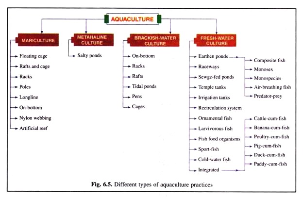 Different Types of Aquaculture Practices