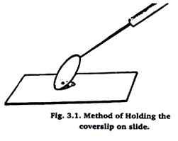 Method of Holding the Coverslip on Slide
