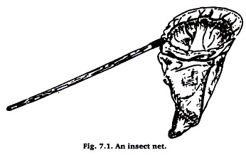 An Insect net