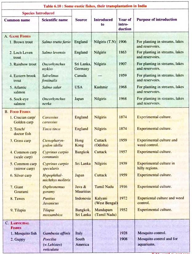 Some Exotic Fishes, their Transplantation in India