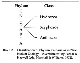 Classification of Phylum Cnidaria