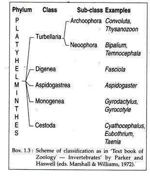 Scheme of Classification