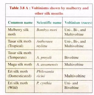 Voltinisms