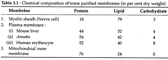 Chemical Composition