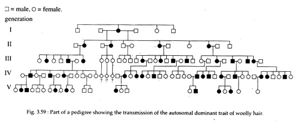 Part of a Pedigree