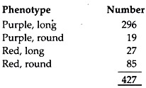 Phenotype and Number