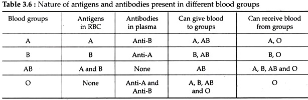 Nature of Antigens and Antibodies