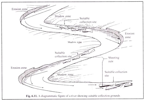 A Diagrammatic Figure of a River Showing Suitable Collection Grounds