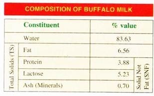 Composition of Buffalo Milk 