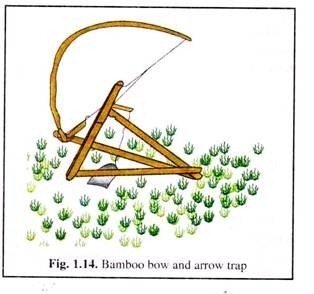 Bamboo Bow and Arrow Trap 