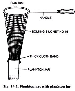 Experiment on Live Aquatic Ecosystem