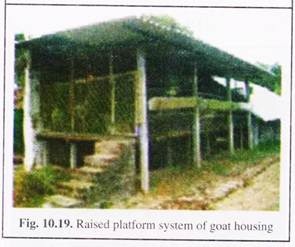 Raised Platform System of Goat Housing