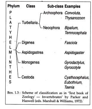 Scheme of Classification