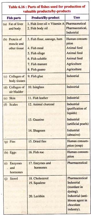 Parts of Fishes