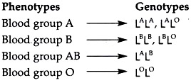 Phenotypes and Genotypes