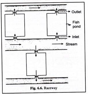 Raceway