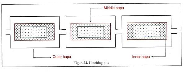 Hatching Pits