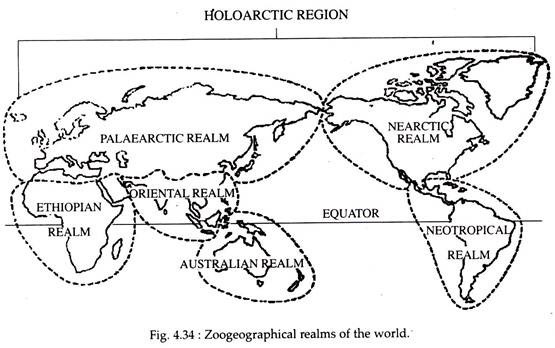 Zoogeographical Realms of the World