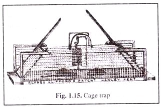 Cage Trap 