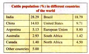 Cattle Population