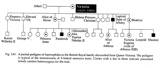 Partial Pedigree of Haemophilia