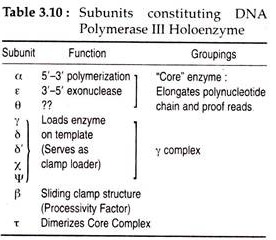 Subunits Constituting DNA Plymerase III Holoenzyme