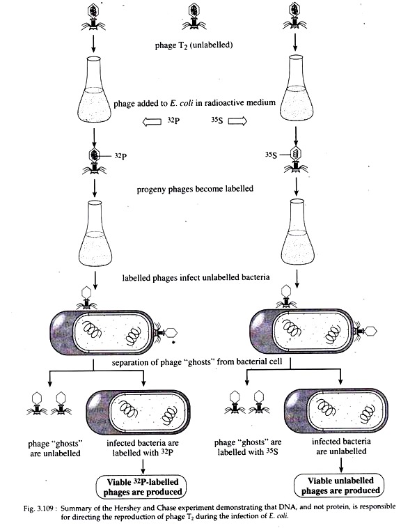 Hershey and Chase Experiment