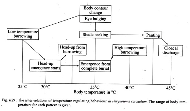 Inter-Relations of Temperature Regulating Behaviour