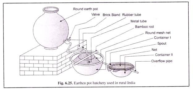 Earthen Pot Hatchery Used in Rural India