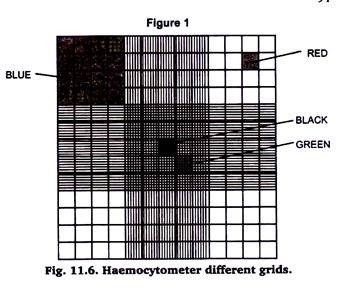 Haemocytometer different grids