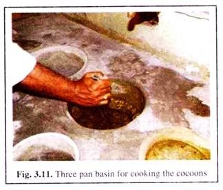 Three Pan Basin dor Cooking the Cocoons