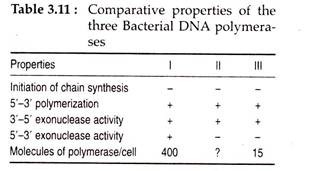 Comparative Properties of the Three Bacterial DNA Polymerases