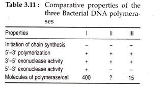 Comparative Properties of the Three Bacterial DNA Polymerases