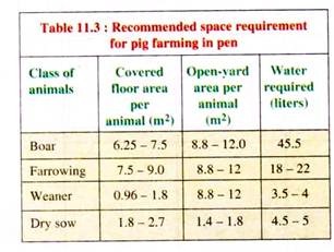 Space Requirement for Pig Farming in Pen