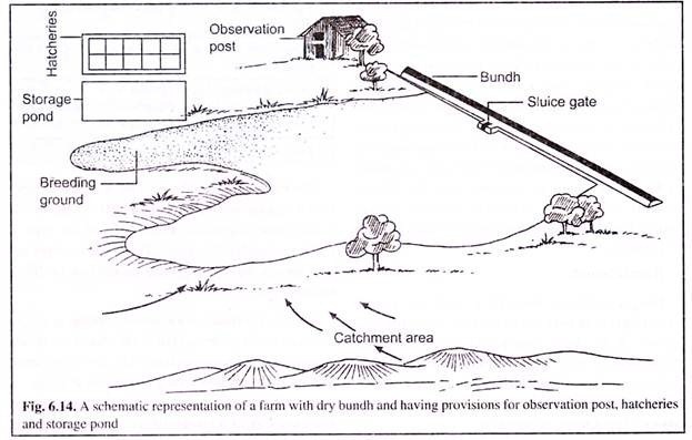 A Schematic Representation of a Farm with Dry Bundh and having Provisions for Observation Post, Hatcheries and Storage Pond