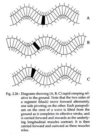 Rapid Creeping Relative to the Ground