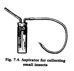 Aspirator for collecting small insects