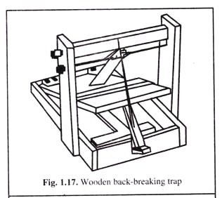 Wooden-Back Breaking Trap