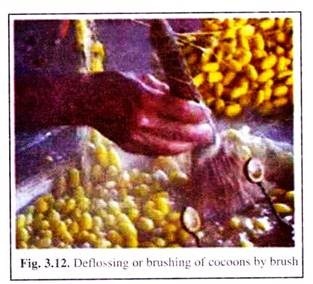 Deflossingor Brushing of Cocoons by Brush