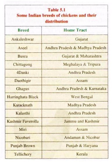 Some Common Breeds of Chicken and their Distribution