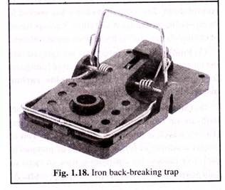 Iron-Back Breaking Trap 