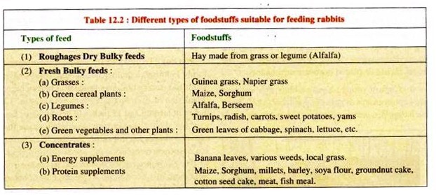 Different Types of Foodstuffs Suitable fot Feeding Rabbits 