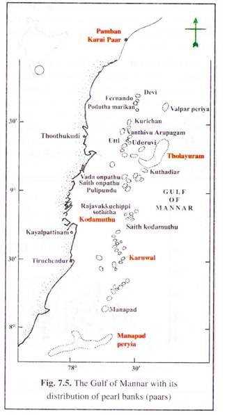 Gulf of Mannar