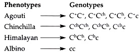 Phenotypes and Genotypes