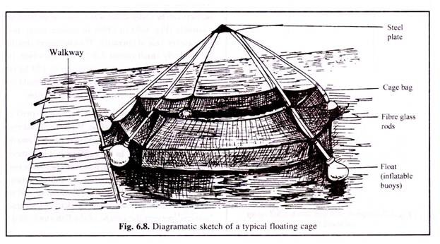 Typical Floating Cage