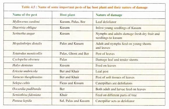Names of Some Important Pest of Lac Host Plant and their Nature of Damage