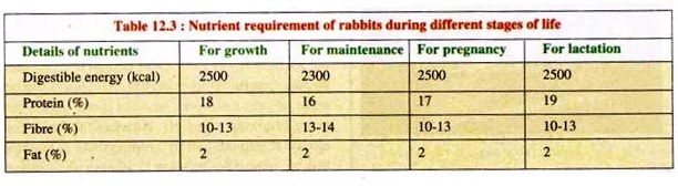 Nutrient Requirement of Rabbits during Different Stages of Life 