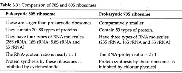 Comparison of 70s and 80s ribosomes