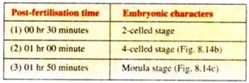 Post-Fertilisation Time and Embryonic Characters